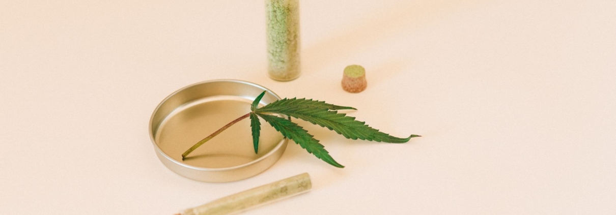 A cannabis leaf with herbal extracts in a glass vial, representing natural healthcare remedies.