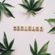Cannabis leaves arranged with wooden letter tiles spelling 'medicine' on a white surface.