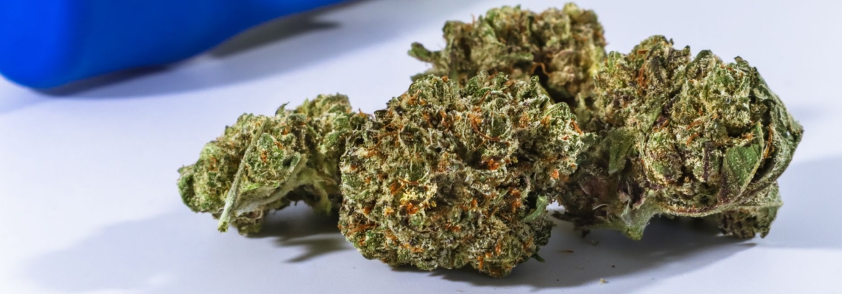 Detailed close-up of cannabis buds with a blue container in the background.