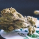 Detailed view of a dried cannabis bud, showcasing its texture and trichomes.