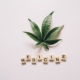 Flat lay of cannabis leaf and 'MEDICINE' spelled with Scrabble tiles on white background.