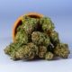 High-quality close-up of cannabis buds in a wooden bowl with a neutral background.