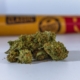 High-quality close-up of cannabis buds with rolling papers in the background on a white surface.