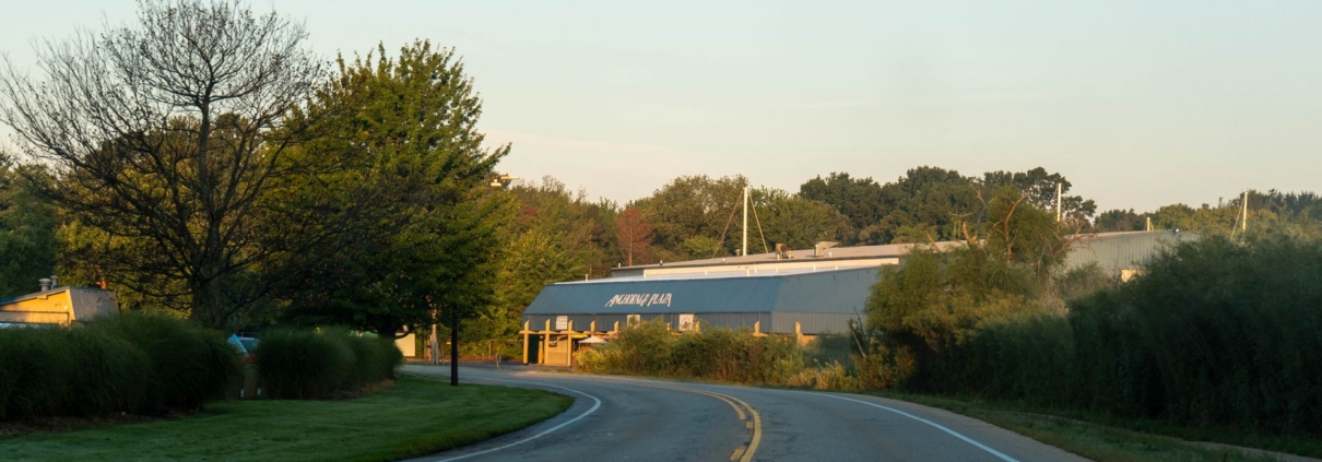 Serene evening view of a winding road leading to a building with natural surroundings in Holland, Michigan.